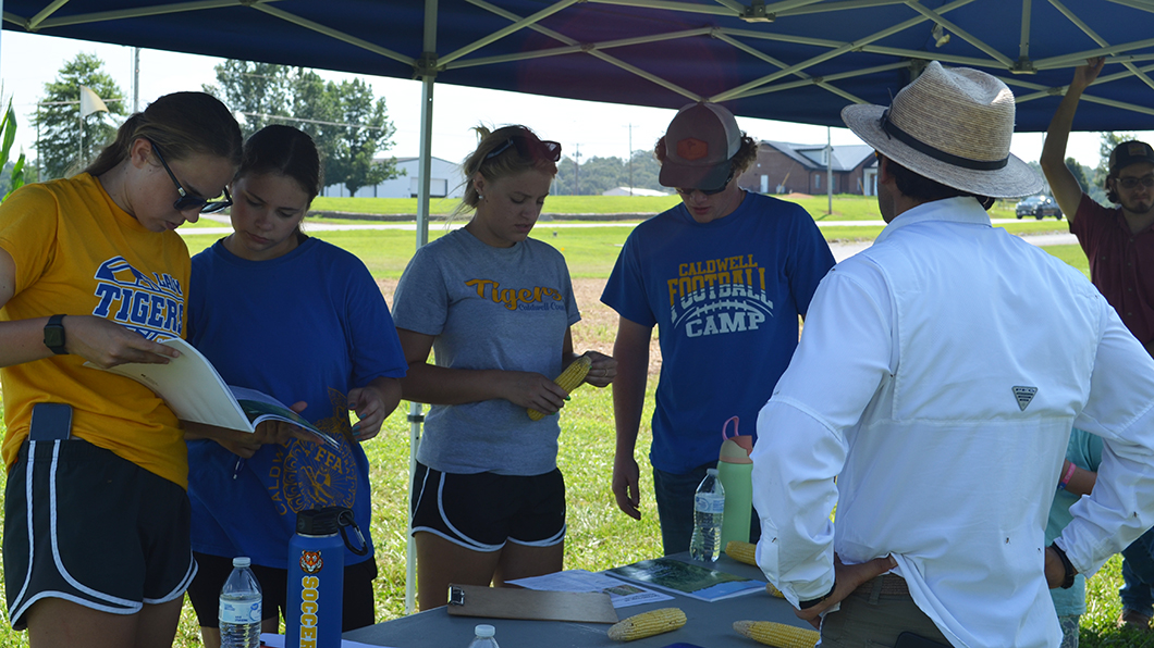 Determining corn stage - crop scouting competition
