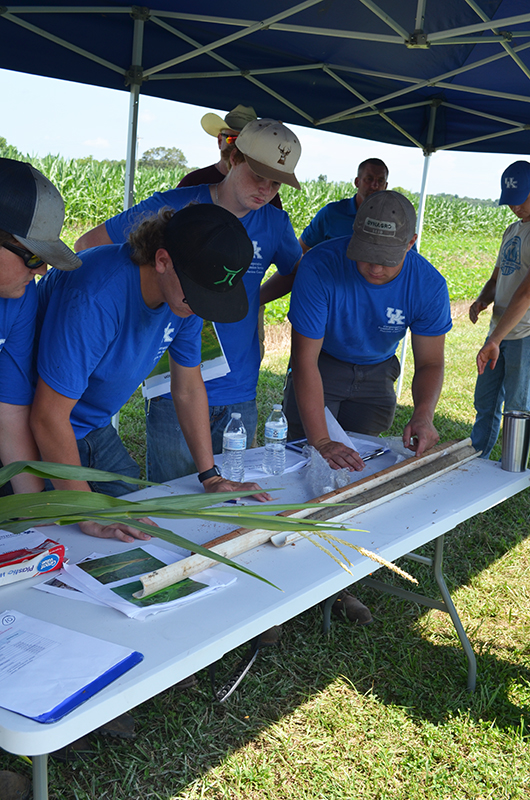 Soils station - crop scouting competition