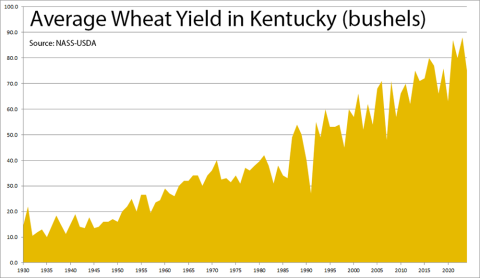 Average wheat yields in Kentucky, 100 years