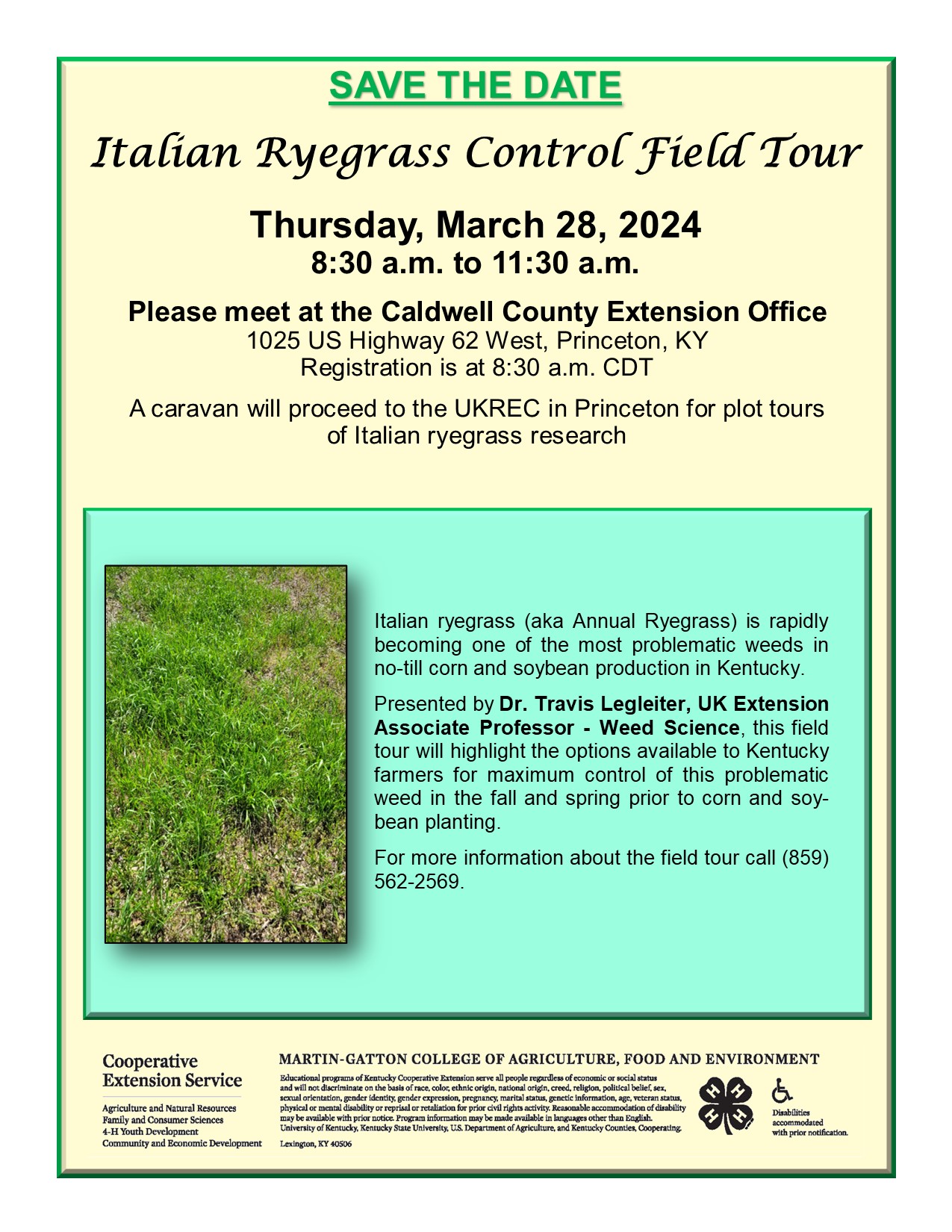 Italian Ryegrass