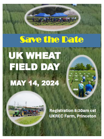 wheat field day